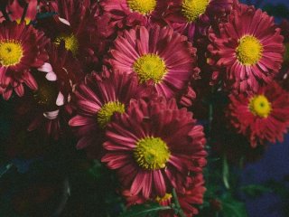 День ангела 16 вересня: кого та як вітати з іменинами