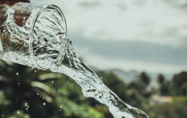 Поливаний понеділок 2026 року: дата і цікаві факти про свято, які вразять навіть українців