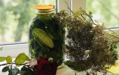 Отказываться или нет: эксперт по питанию назвал преимущества и недостатки квашеных овощей