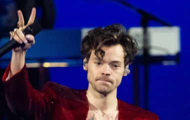 На концерте Гарри Стайлса в Вене фанат 