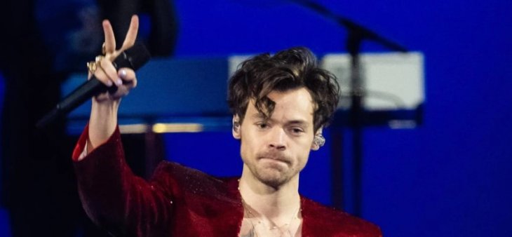 На концерте Гарри Стайлса в Вене фанат 