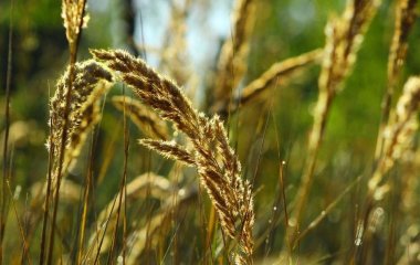 День ангела 30 серпня: кого та як вітати з іменинами