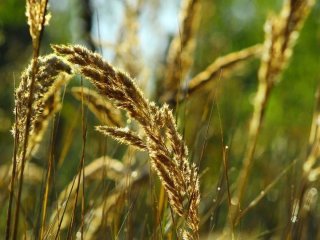День ангела 30 серпня: кого та як вітати з іменинами