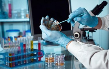 Вчені знайшли дуже простий спосіб профілактики раку