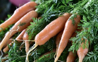 Ендокринолог назвав багаті на вітамін Е продукти