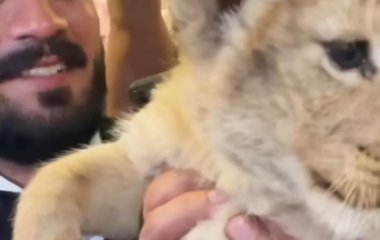 Ютубер отримав незвичне покарання за незаконне утримання левеняти