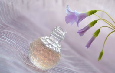 Парфуми на літо: як правильно обрати аромат, який не нашкодить у спеку