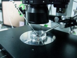 Материнство без поспіху: як сучасна репродуктивна медицина допомагає жінкам планувати майбутнє Новини компаній