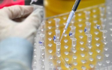 Вірусолог припустив витіснення новими варіантами Омікрона лінії BA.2