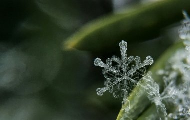 День ангела 21 грудня: кого та як вітати з іменинами