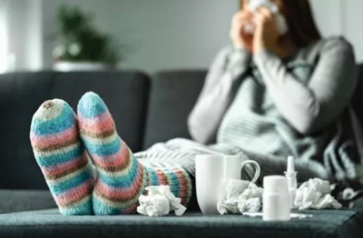Дієтолог назвала два природні антибіотики від застуд