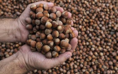 Названий продукт, що знижує ризик інфаркту