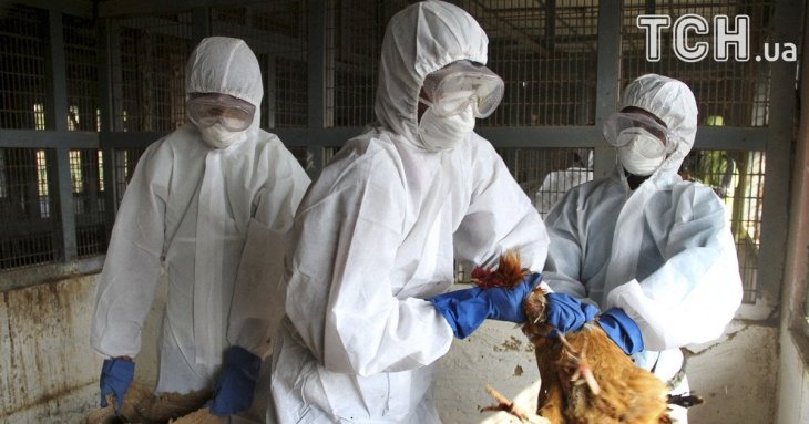 Пташиний грип H5N5 вперше вбив людину