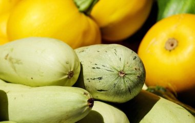 Найсмачніші вафлі з кабачків: два прості рецепти на кожен день, які потрібно приготувати
