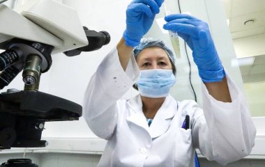 Вчені з'ясували, як працюють ліквідатори білкового 