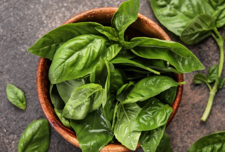 Король пряных трав: виды базилика, как его употреблять и хранить