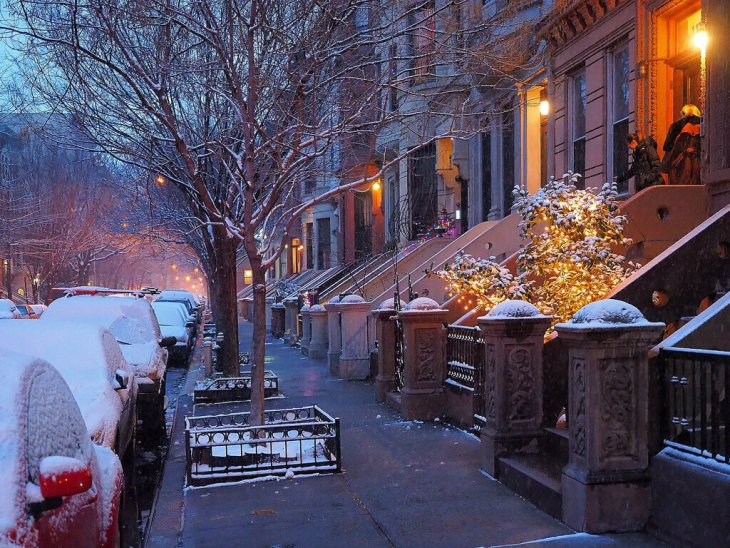 Сети покорил житель Нью-Йорка, поужинавший с собакой в ​​ресторане (ВИДЕО)