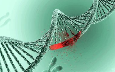 Вчені виявили сотні мутацій ДНК у малорухливих людей