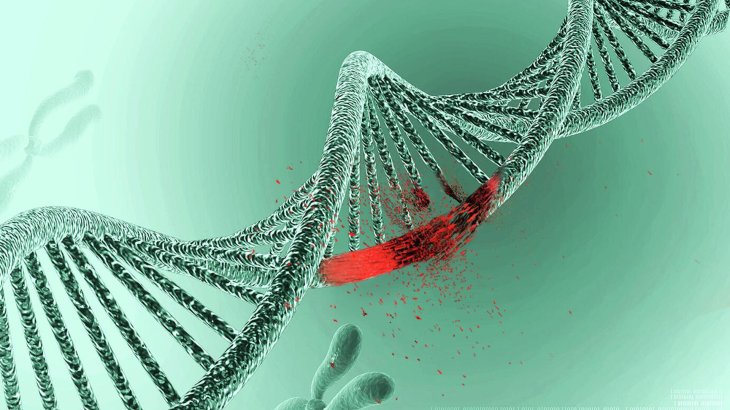 Вчені виявили сотні мутацій ДНК у малорухливих людей