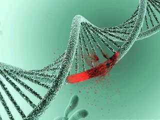 Ученые обнаружили сотни мутаций ДНК у малоподвижных людей