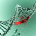 Ученые обнаружили сотни мутаций ДНК у малоподвижных людей