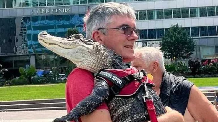 Болельщик пытался зайти на бейсбольный матч с аллигатором
