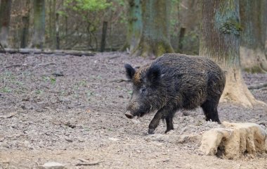 Пастор із Флориди понад рік страждав від загадкової хвороби: що виявили лікарі