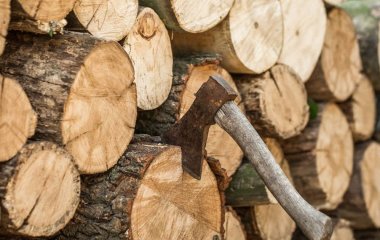 Скільки коштують дрова у жовтні 2025 року: що буде далі з цінами на паливо