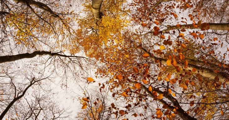 День ангела 30 листопада: кого та як вітати з іменинами