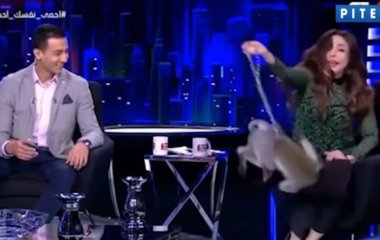 Обезьяна напала на телеведущую в прямом эфире