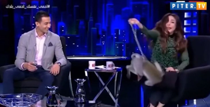 Обезьяна напала на телеведущую в прямом эфире