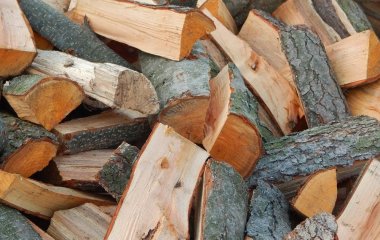 Дешевші за дуб і граб: які дрова добре підходять для опалення