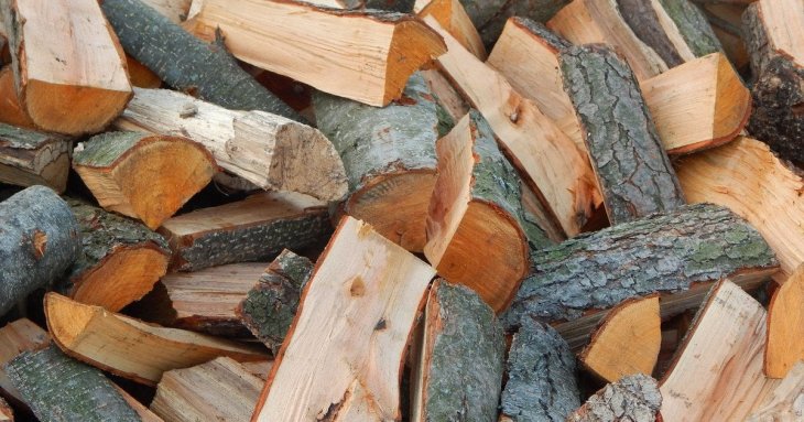 Дешевші за дуб і граб: які дрова добре підходять для опалення