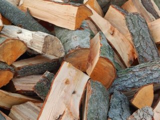 Дешевші за дуб і граб: які дрова добре підходять для опалення