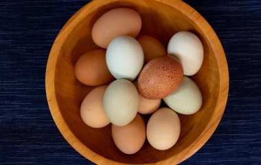 Небезпека, якої не видно: чому яйця можуть псуватися без жодних ознак