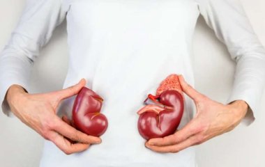 Медики назвали продукты, которые полезно употреблять при камнях в почках