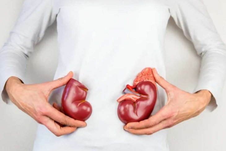 Медики назвали продукти, які корисно вживати при камені в нирках