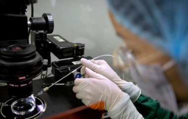 Клітинний імунітет виявився не менш антитіл важливим для захисту від коронавірусу