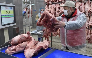 Вчені назвали найбільш шкідливий продукт для довкілля та людини