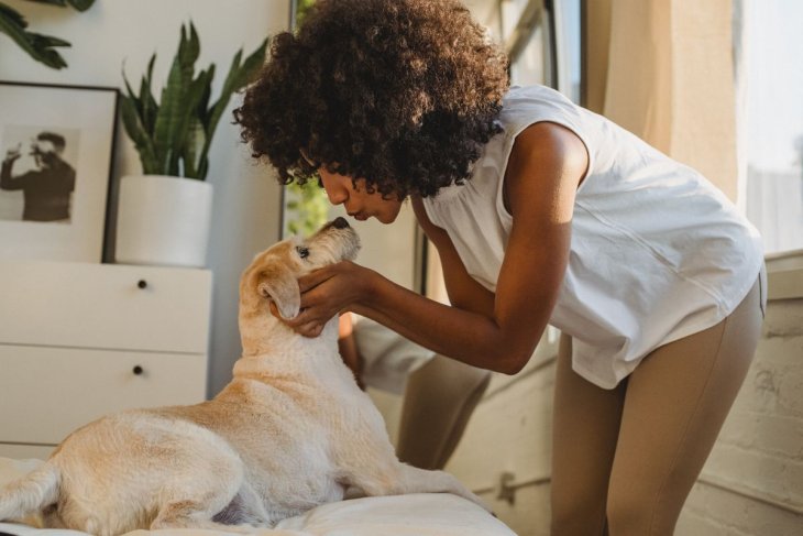 Трогательная собачка в красивых одеждах оказалась слишком зла (ВИДЕО)