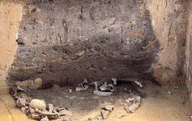 У Німеччині знайшли загадкові ритуальні ями віком 5 тисяч років: що про них відомо