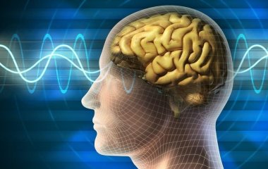 Вчені запропонували новий експрес-метод дослідження раку мозку