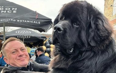 70-килограммовый ньюфаундленд стал звездой соцсетей