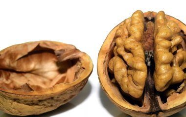 Названі продукти, що уповільнюють старіння мозку