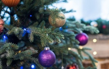 Щоб ялинка простояла дуже довго, що додати у розчин