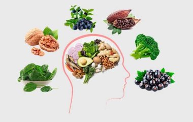Чтобы мозг не ржавел: медики назвали ТОП-9 полезных продуктов