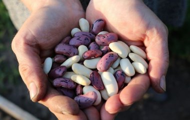 Дієтологи назвали прості способи покращити харчування