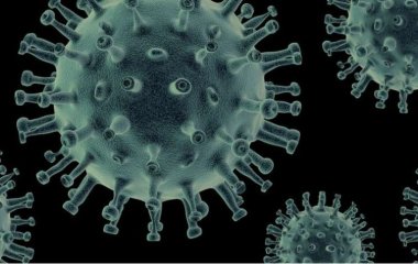Стало известно, где скапливаются микробы, вызывающие инфекцию