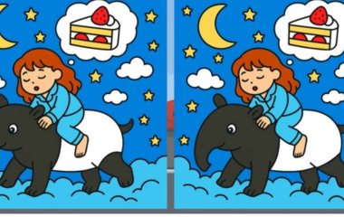 Візуальна пастка: лише найуважніші зможуть знайти три відмінності за 20 секунд