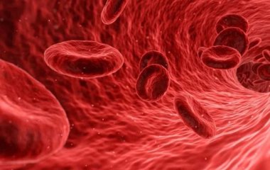 Медики назвали симптомы и последствия анемии для здоровья